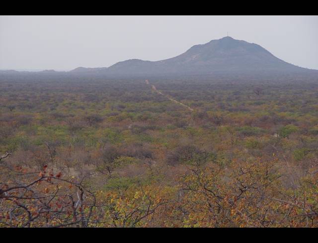 FARM FOR SALE IN MUSINA RURAL